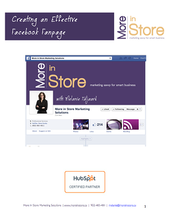 Facebook Fanpage eBook Cover 2014