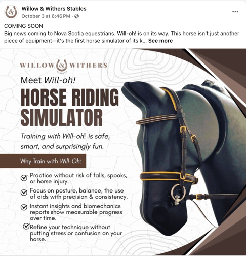 horse simulator 